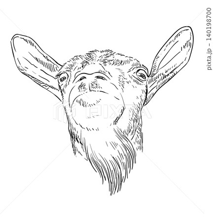 Funny goat head with a beard hand drawing vector illustration 140198700