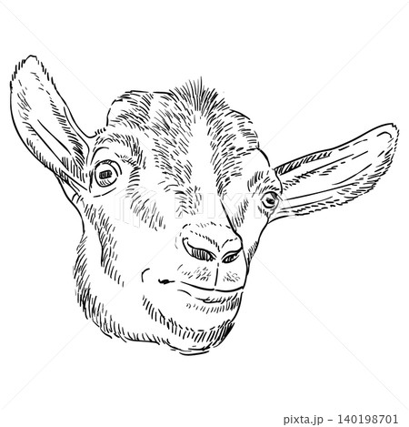Funny cute goat head hand drawing vector illustration Funny cute goat head hand drawing vector illustration 140198701
