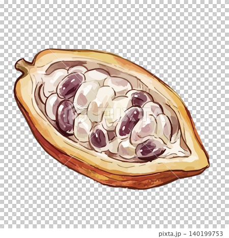 A mouthwatering illustration of cocoa A mouthwatering illustration of cocoa 140199753