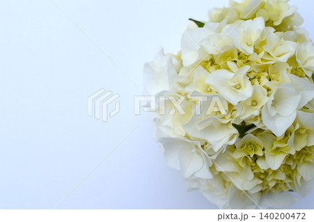 クリーム色の紫陽花のラウンドブーケ　　　 140200472