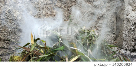 A close-up photo shows white smoke billowing from a pile of dry grass, leaves and plant debris being burned near a concrete wall. A close-up photo shows white smoke billowing from a pile of dry grass, leaves and plant debris being burned near a concrete wall. 140200924