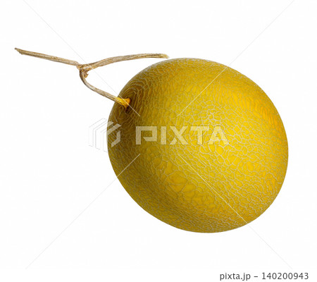 a big round beautiful golden color cantaloup isolated on a white background 140200943