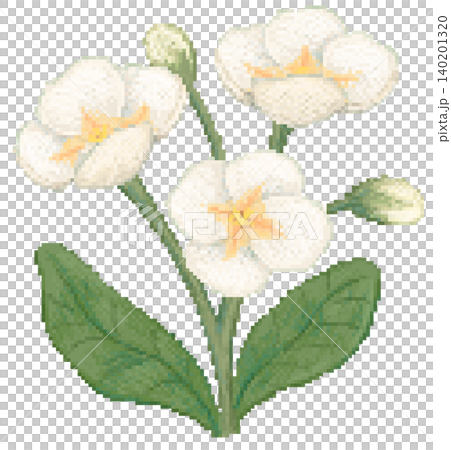 Primrose flower in pixel art 140201320