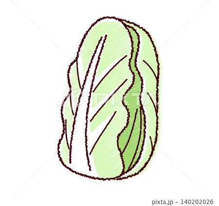 スケッチ風のシンプルな白菜のイラスト 140202026