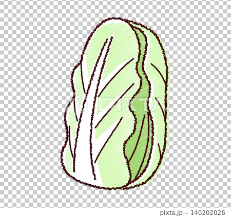 スケッチ風のシンプルな白菜のイラスト 140202026