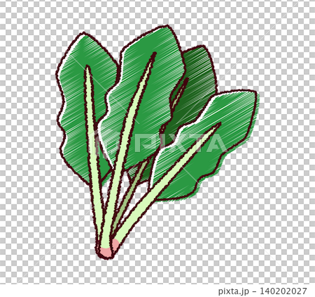 スケッチ風のシンプルなほうれん草のイラスト スケッチ風のシンプルなほうれん草のイラスト 140202027