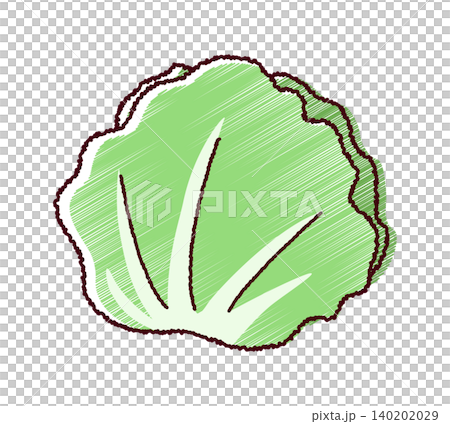 一幅簡單的生菜素描風格插圖。 一幅簡單的生菜素描風格插圖。 140202029