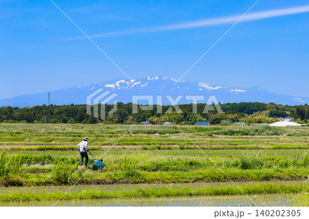 水田畔の自走式草刈機による除草作業と残雪の栗駒山 水田畔の自走式草刈機による除草作業と残雪の栗駒山 140202305