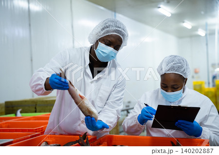 Quality control workers inspecting fresh fish in food processing plant 140202887