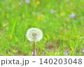タンポポ 140203048