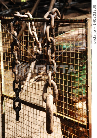 Rusted Metal Chain Rusted Metal Chain 140203239