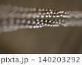Rusted Metal Chain 140203292