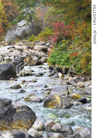 草津温泉 西の河原公園 美しい秋の風景(群馬県吾妻郡草津町) 草津温泉 西の河原公園 美しい秋の風景(群馬県吾妻郡草津町) 140203799