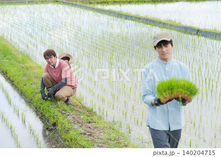 田植えをする2人の農家 田植えをする2人の農家 140204715