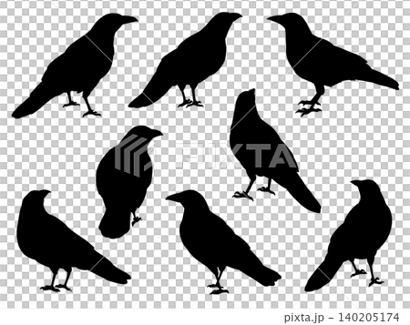 Crow silhouette illustration set Crow silhouette illustration set 140205174