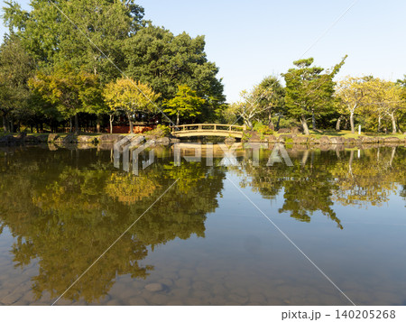 奈良公園の三社託宣池 140205268