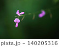 野にさくヌスビトハギの花 140205316