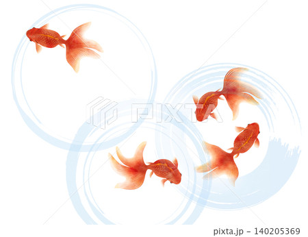 尾ヒレがひらひらした赤い金魚と白背景波紋　俯瞰　水彩風イラスト 140205369