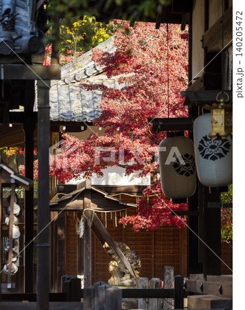 紅葉が美しい神社の風景 140205472