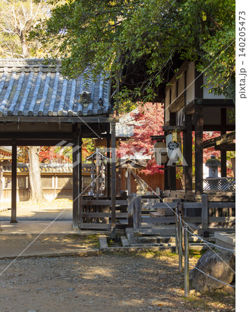 紅葉が美しい神社の風景 140205473