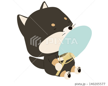 うちわで扇ぐ黒柴 140205577