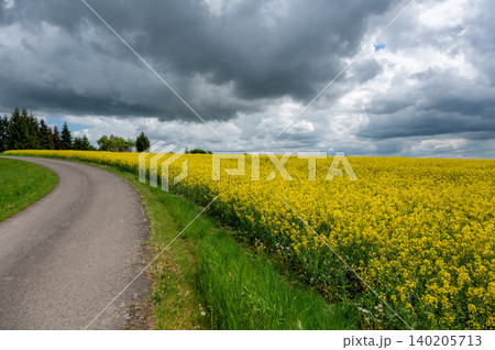 Landscape of Cesky Raj, Czech Republic with blooming rapeseed fields (Brassica napus, canola) in foreground, green farmland behind, under a dramatic pre-rain sky. Landscape of Cesky Raj, Czech Republic with blooming rapeseed fields (Brassica napus, canola) in foreground, green farmland behind, under a dramatic pre-rain sky. 140205713
