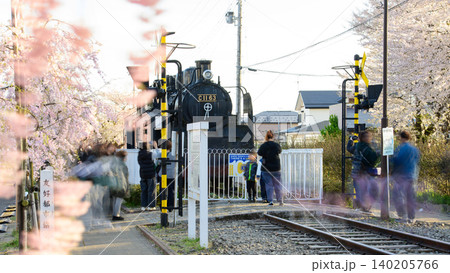 日中線枝垂れ桜並木　SLを鑑賞する人々　福島県 140205766