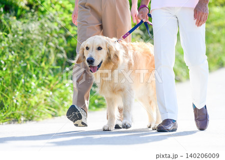 犬と歩く夫婦の足元 犬と歩く夫婦の足元 140206009
