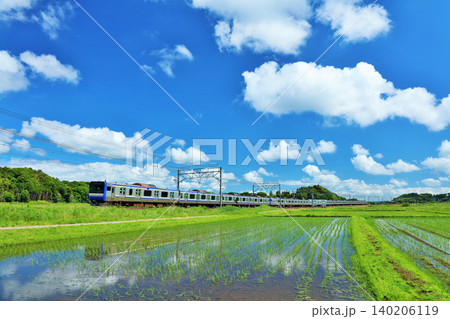 千葉県 青空と新緑の田んぼを走る電車(総武線快速) 千葉県 青空と新緑の田んぼを走る電車(総武線快速) 140206119
