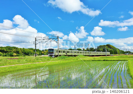 千葉県　青空と新緑の田んぼを走る電車 140206121