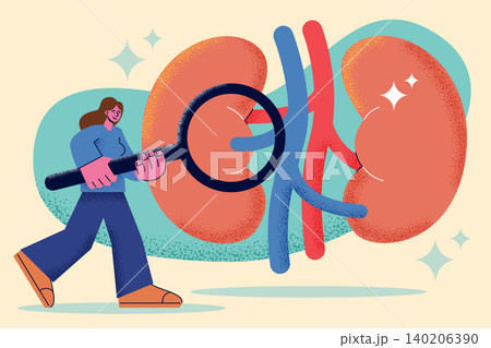 Woman looking through a magnifying glass at a large human kidney organ in corporate memphis style. Flat design vector illustration. Woman looking through a magnifying glass at a large human kidney organ in corporate memphis style. Flat design vector illustration. 140206390