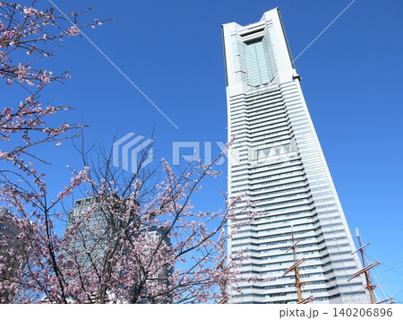 満開の桜が咲く、ランドマークタワー 満開の桜が咲く、ランドマークタワー 140206896