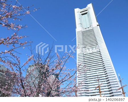 満開の桜が咲くランドマークタワー 140206897