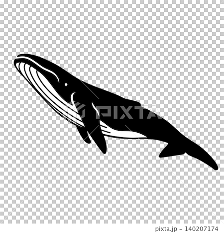 Simple and cute whale vector illustration 140207174