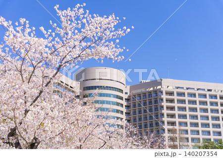 鶴舞公園の桜と名大病院(名古屋大学医学部附属病院) 鶴舞公園の桜と名大病院(名古屋大学医学部附属病院) 140207354