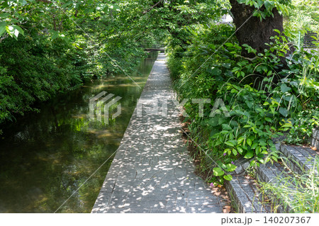 入梅前の二ヶ領用水 140207367