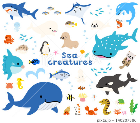ポップでかわいい海の生き物のイラストセット ポップでかわいい海の生き物のイラストセット 140207586