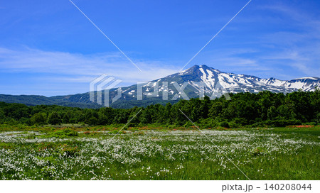 桑ノ木台湿原と鳥海山の絶景 秋田県 桑ノ木台湿原と鳥海山の絶景 秋田県 140208044