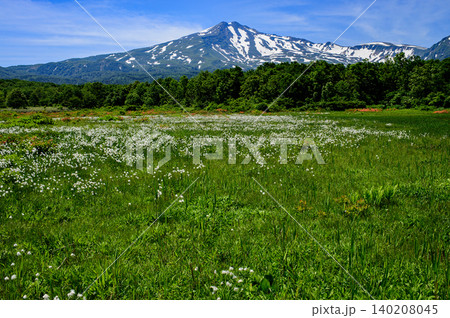 桑ノ木台湿原と鳥海山の絶景 秋田県 桑ノ木台湿原と鳥海山の絶景 秋田県 140208045
