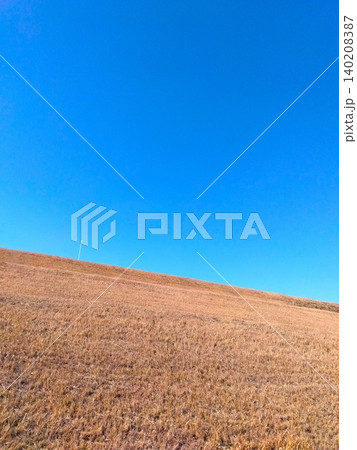 冬の除草された江戸川土手風景 冬の除草された江戸川土手風景 140208387
