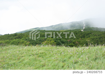 大山八合目付近に広がる風にそよぐ草原とダイセンキャラボク純林の広大な稜線風景（鳥取県大山町） 140208733