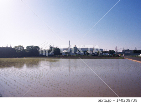 (水田のフィルム写真)水の張った田んぼ (水田のフィルム写真)水の張った田んぼ 140208739
