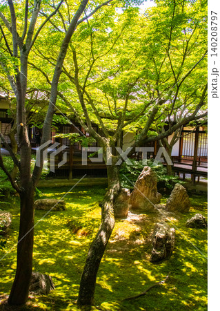 建仁寺 禅寺信仰のご利益:開運,厄除け,家内安全 建仁寺 禅寺信仰のご利益:開運,厄除け,家内安全 140208797
