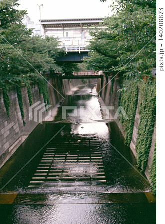 (フィルム写真)目黒川、緑に囲まれた橋 (フィルム写真)目黒川、緑に囲まれた橋 140208873