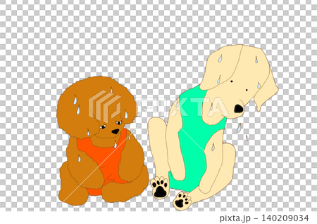 It's hot! Sweaty dog in a tank top. It's hot! Sweaty dog in a tank top. 140209034
