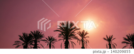 Row of tropical palm trees against sunset sky. Silhouette of tall palm trees. Tropical evening landscape. Row of tropical palm trees against sunset sky. Silhouette of tall palm trees. Tropical evening landscape. 140209855