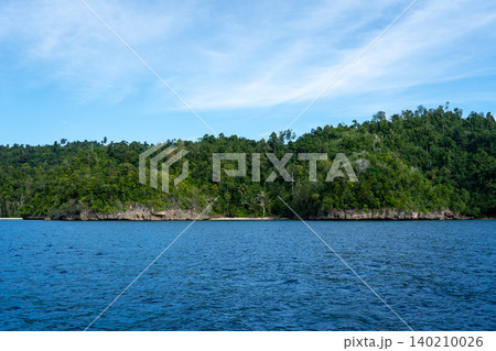 Coconut lined beach on Waleakodi Island, Togian archipelago, Sulawesi, Indonesia 140210026