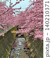 満開の河津桜が彩る水路の春風景 140210371