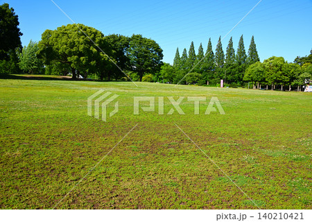 戸田川緑地の広大な芝生広場と青空 戸田川緑地の広大な芝生広場と青空 140210421