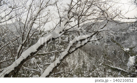 Seoraksan, Baekdam Valley Seoraksan, Baekdam Valley 140210852